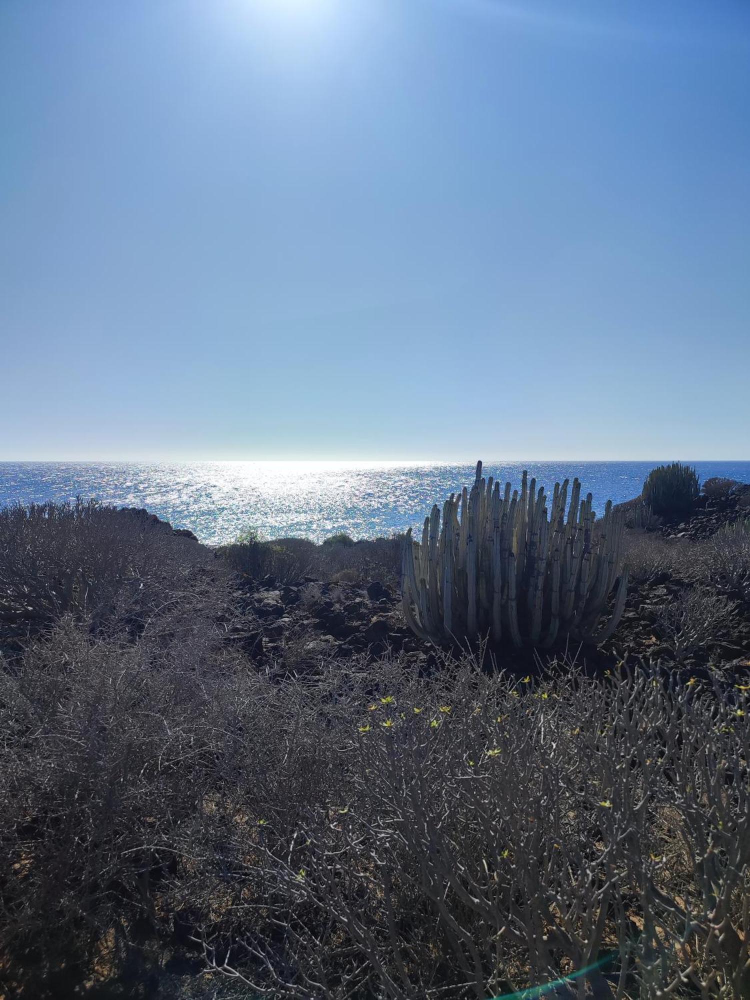 Margherita House Tenerife, Wonderful Ocean View Palm-mar Exterior foto